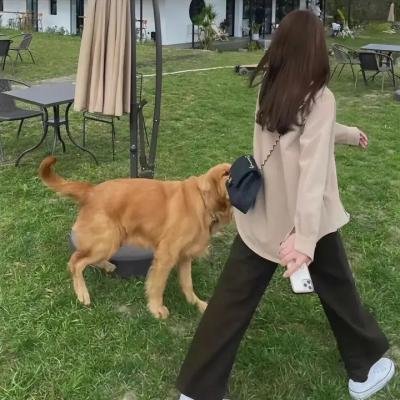 达格利什 第一季